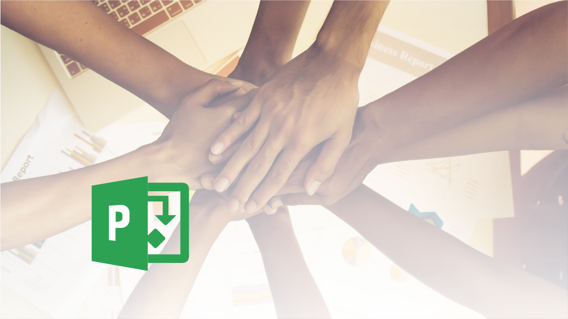 Microsoft Office Project - dodeljevanje delovnih sredstev