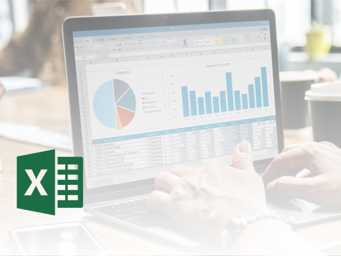 Microsoft Office Excel - Izdelava grafikona z dvema nizoma podatkov